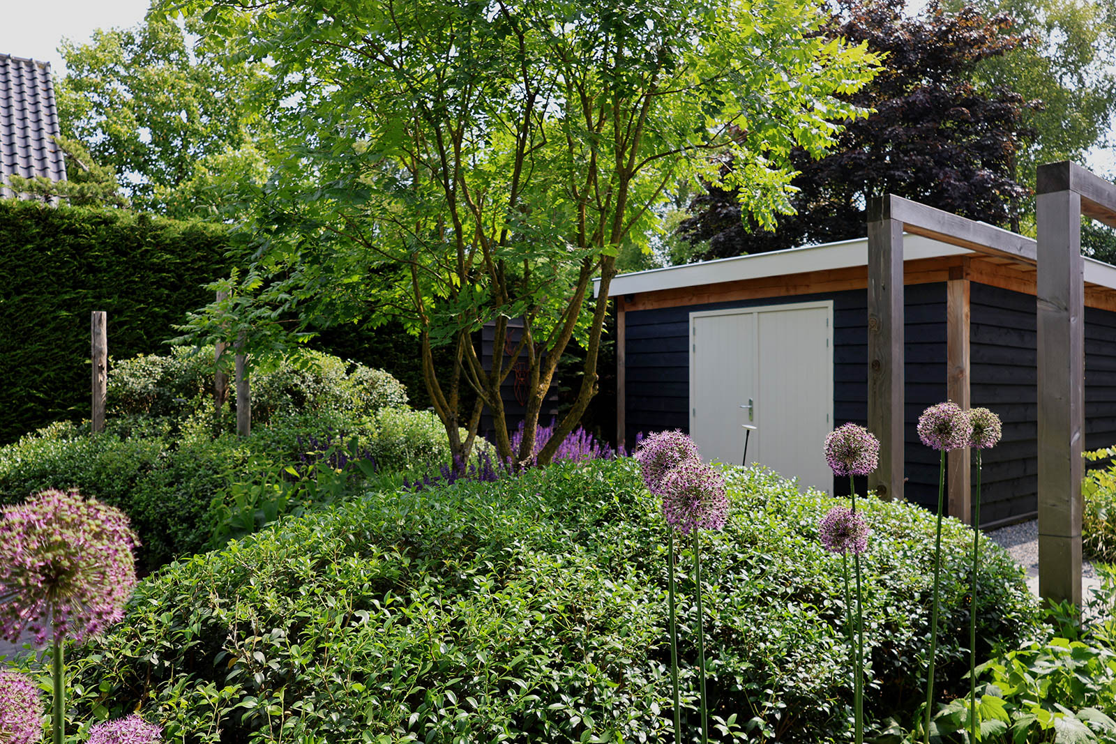 Groene tuin beplanting Groene tuin beplanting