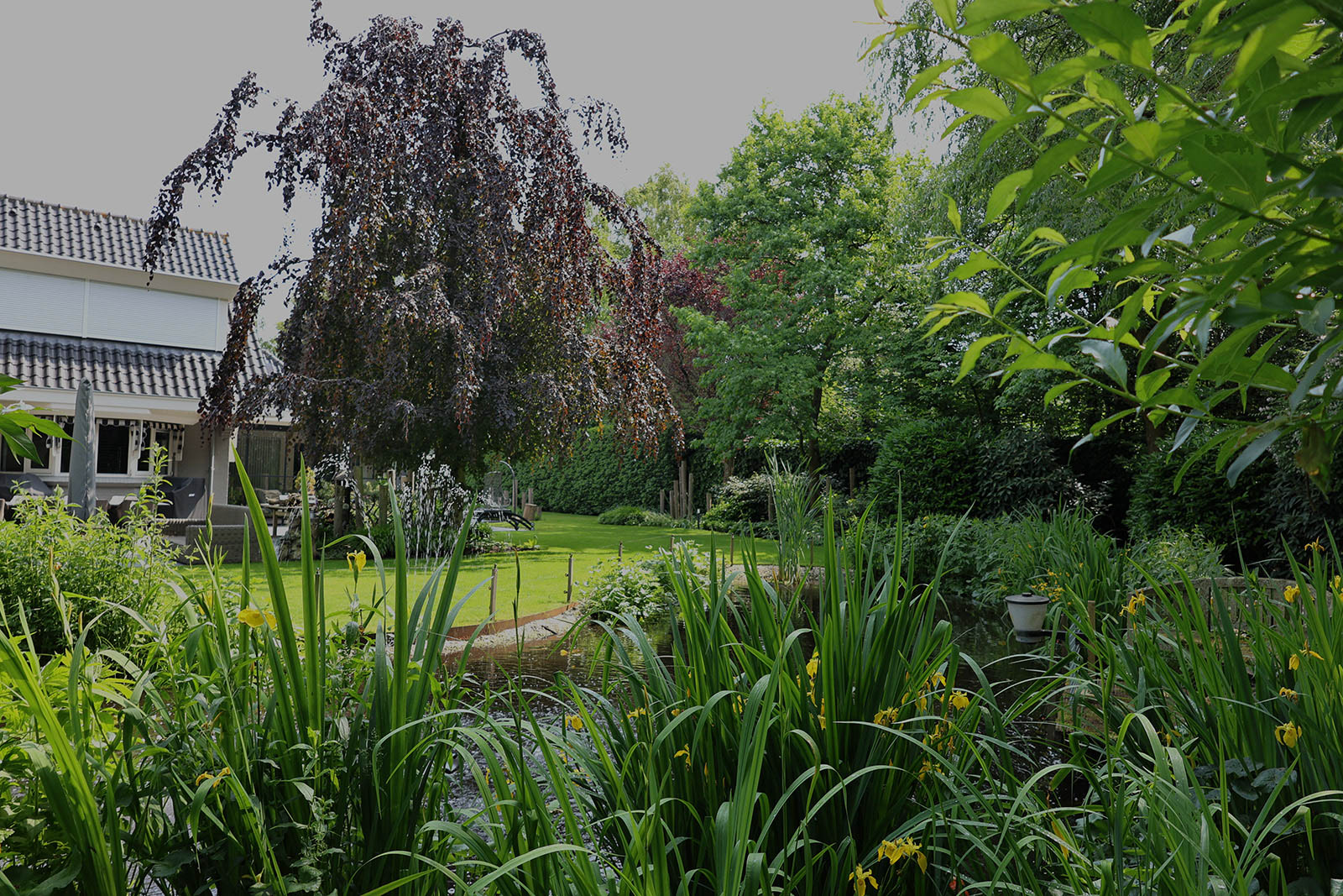Groene tuin met vijver