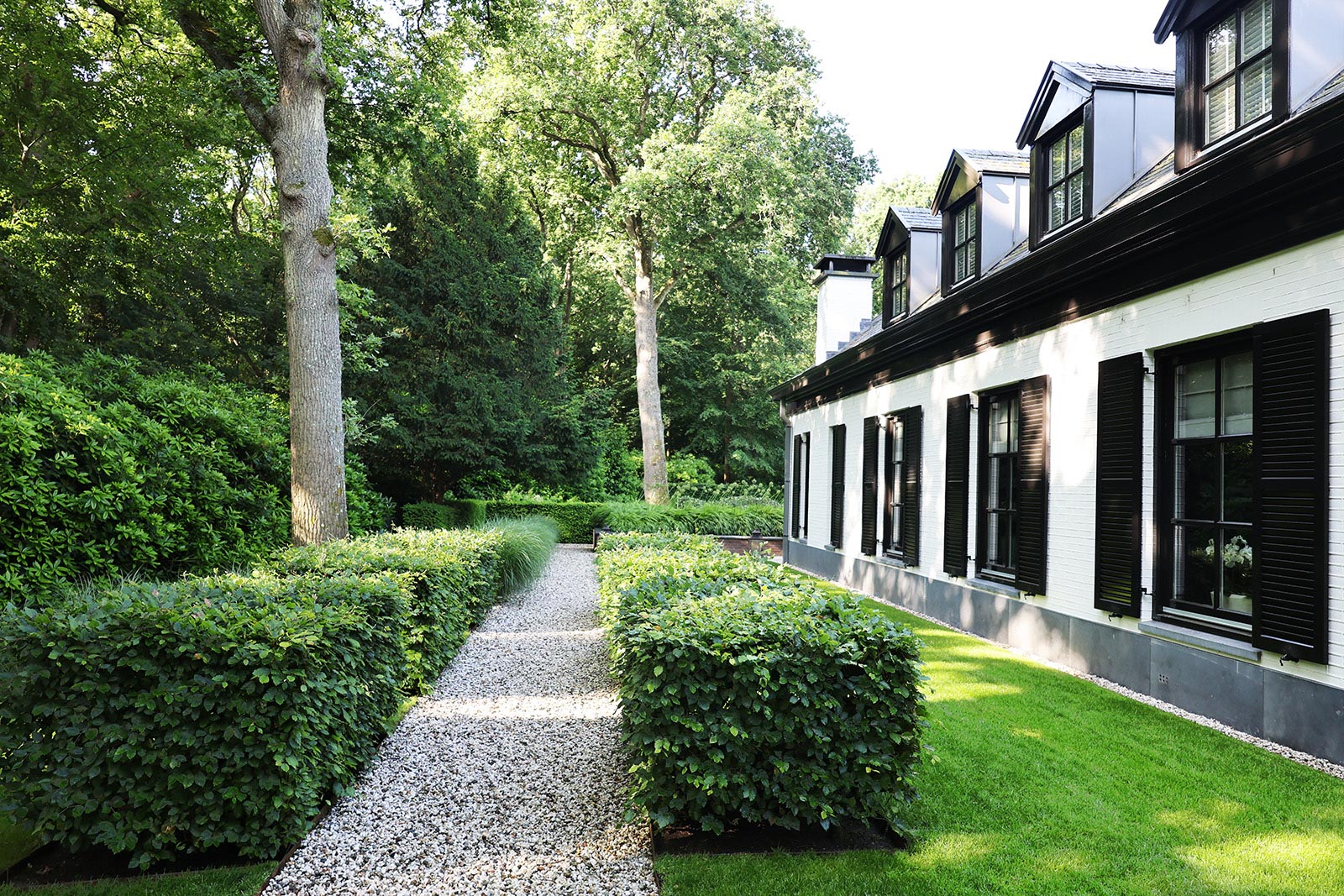 Ruime groene tuin