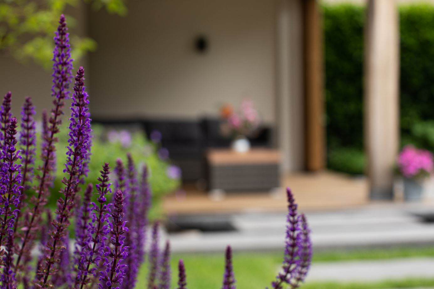 Bloemen in de tuin