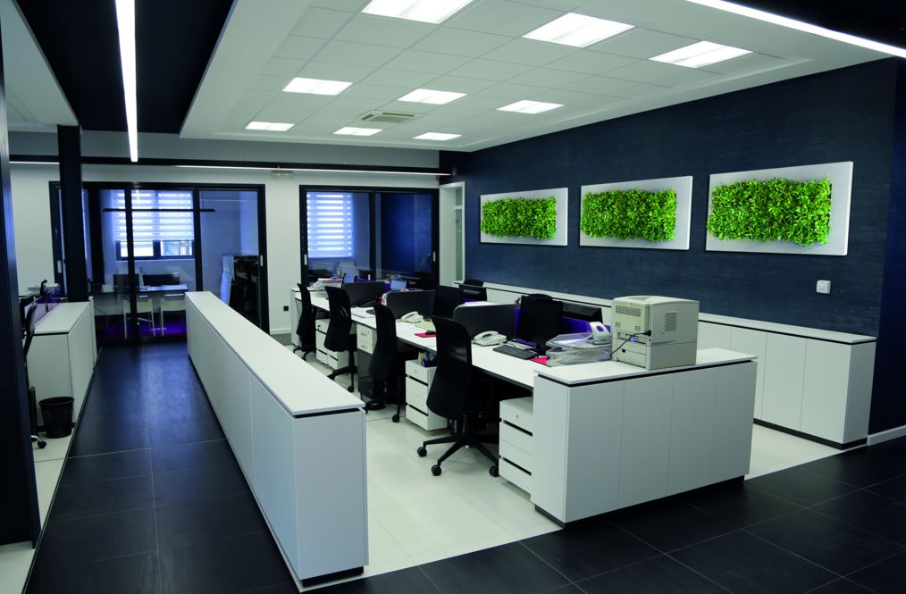 Plantenwand binnen/kantoor