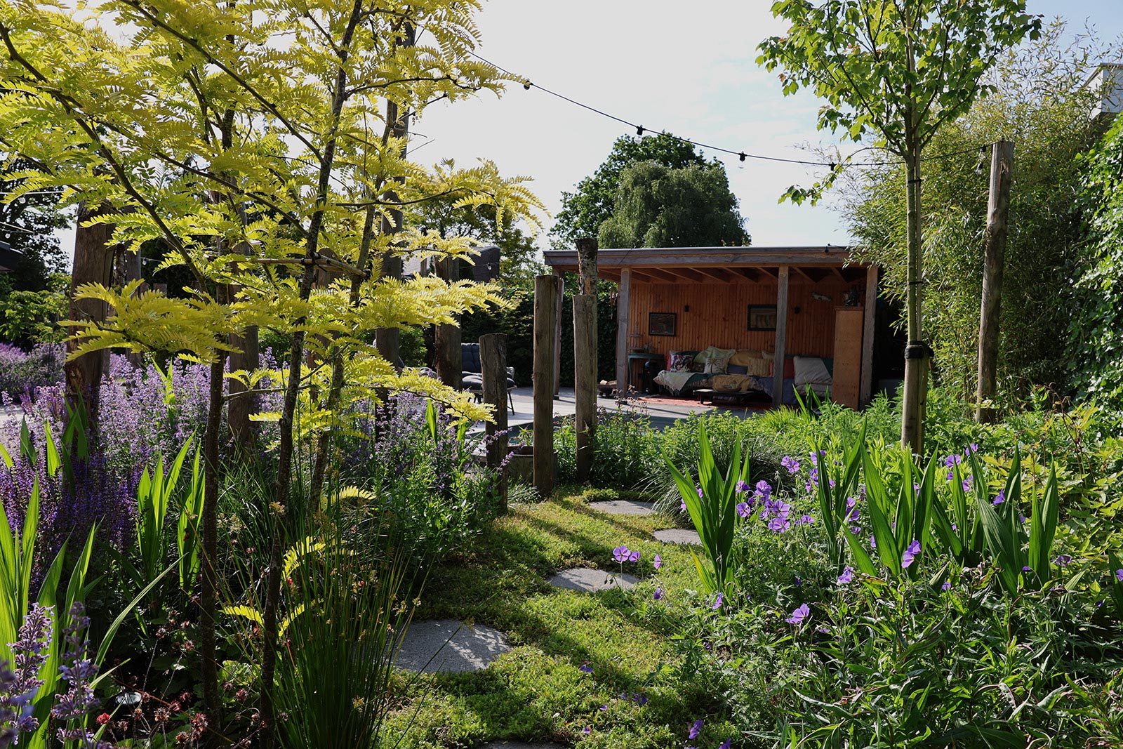 Project mediterrane tuin