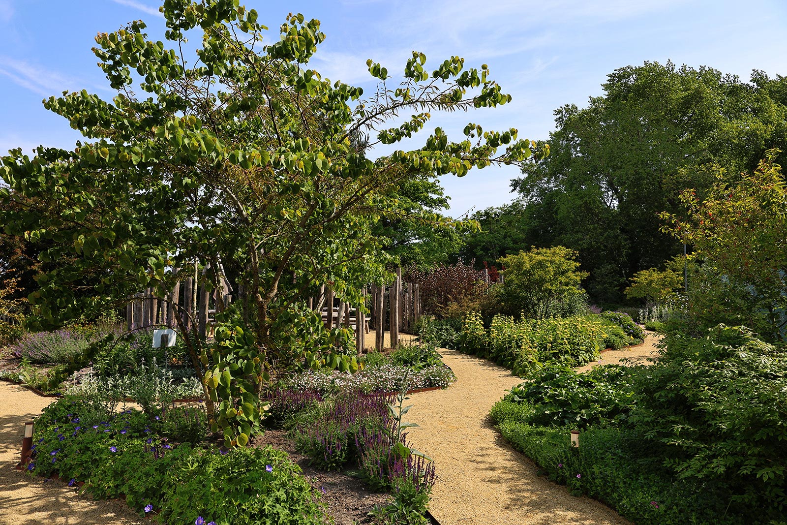 Natuurlijke tuin