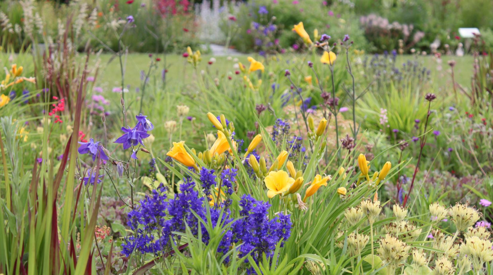 Leven in uw tuin