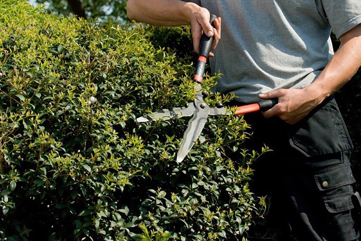 Tuinonderhoud door Hoveniersbedrijf Dijkman